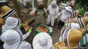 Bee Centre Lancashire